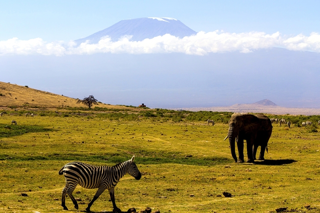 kilimanjaro